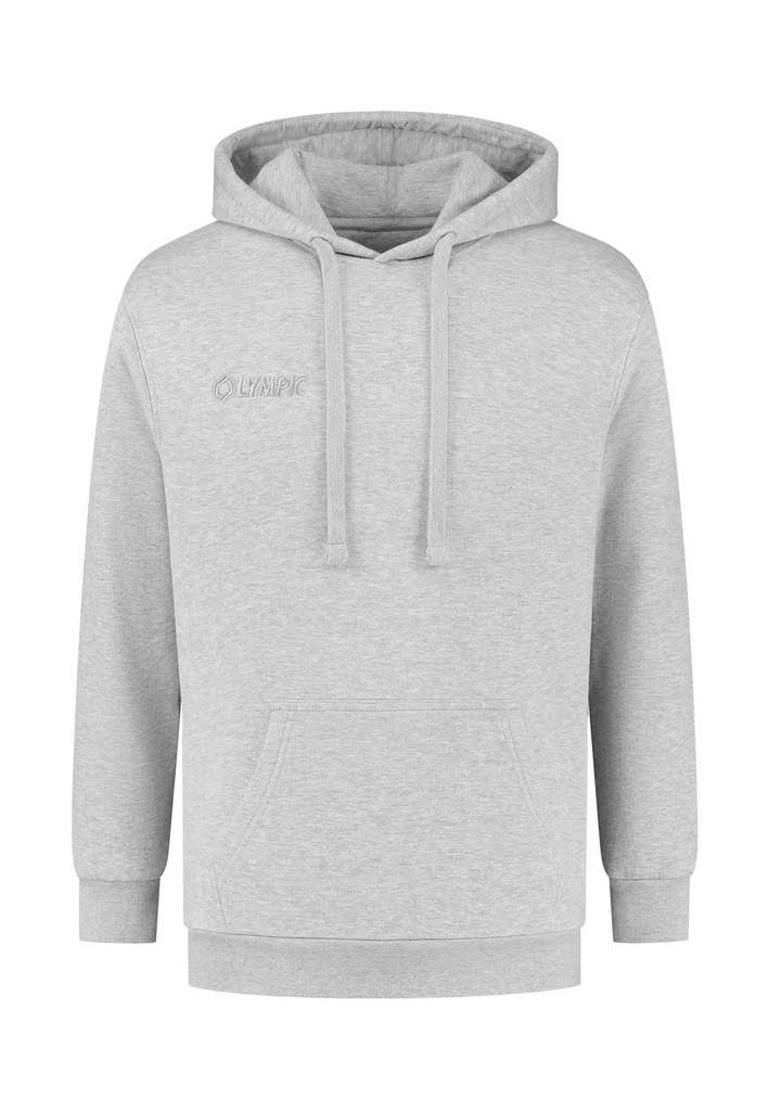 10/01/06043 - TEAM HOODED SWEATER katoen 